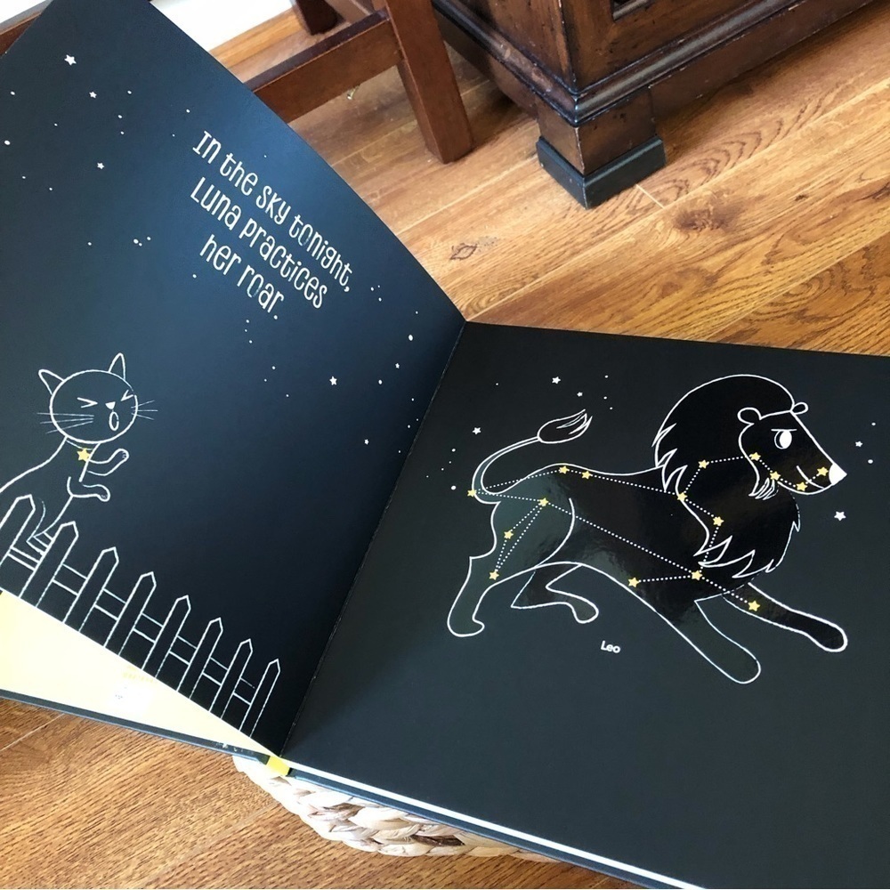 Children’s book: Starry Skies by: Samatha Chagollan hardback - Picture 6 of 7